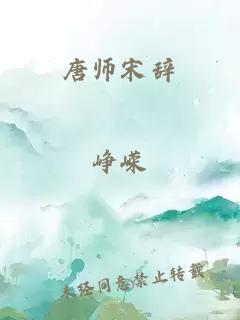 唐师宋辞