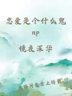 恋爱是个什么鬼np