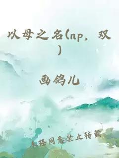 以母之名(np，双)