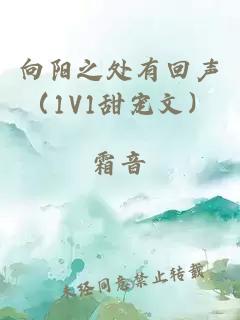 向阳之处有回声（1V1甜宠文）