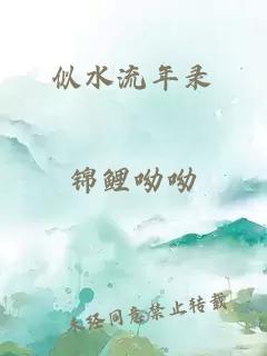 似水流年录