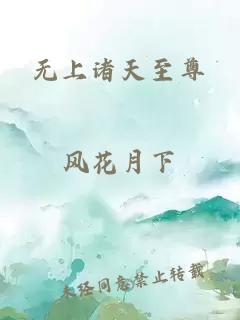 无上诸天至尊