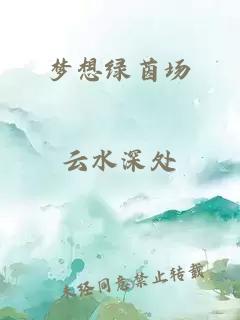 梦想绿茵场