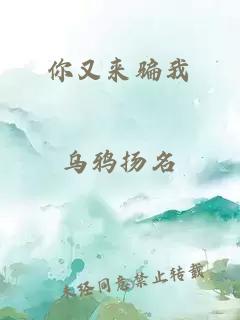 你又来骗我