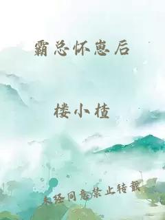 霸总怀崽后