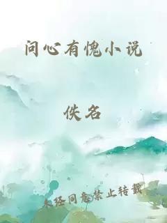 问心有愧小说