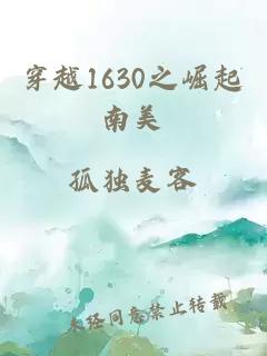 穿越1630之崛起南美