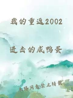 我的重返2002